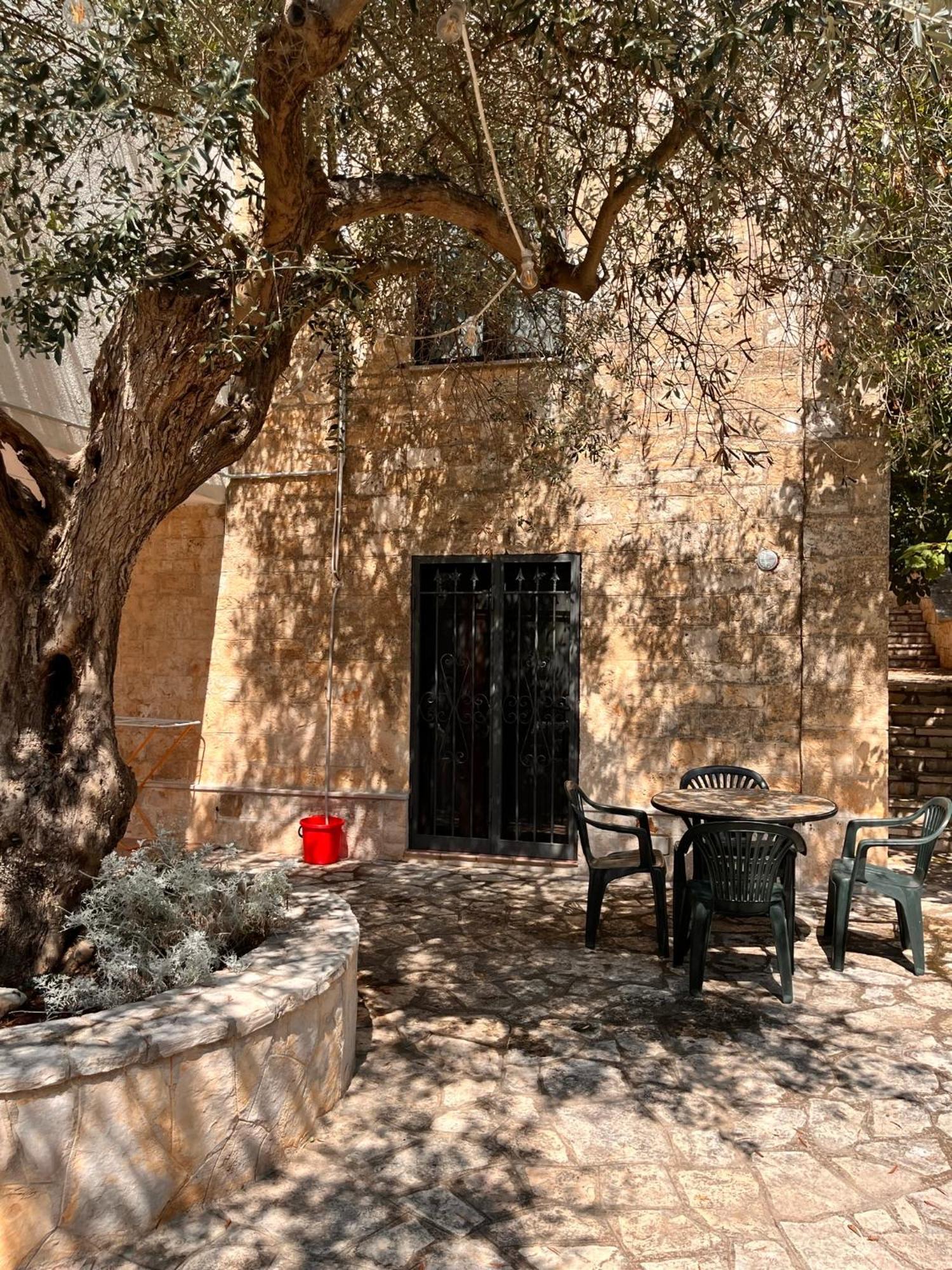 Bed and Breakfast Chiave D'Arco Сельва-ди-Фазано Экстерьер фото